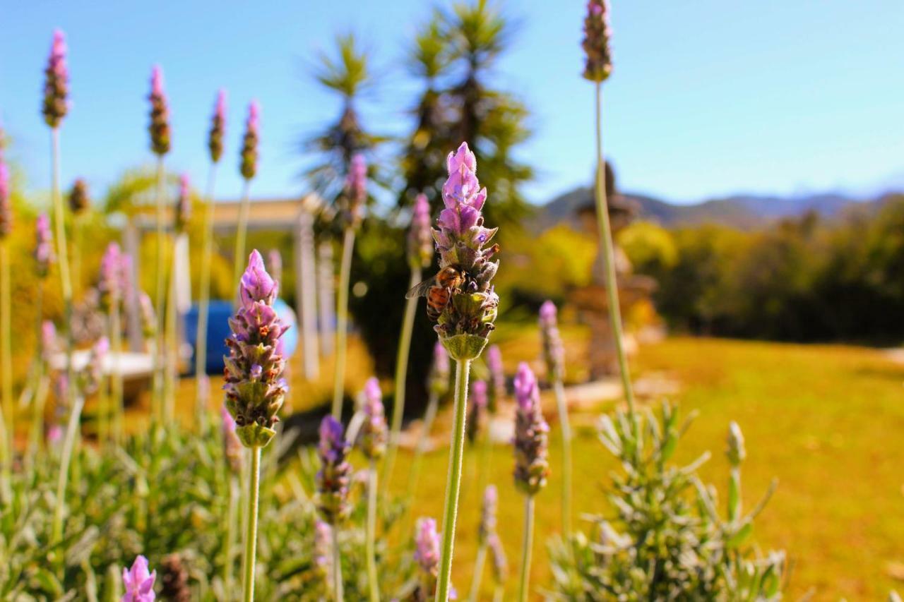 Nativa Posada & Spa Otel La Cascara Dış mekan fotoğraf